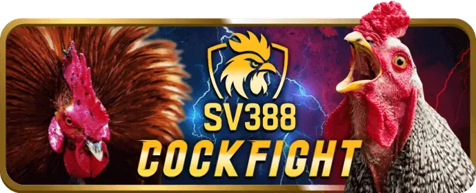 Chương trình VIP và điểm thưởng 30tr88